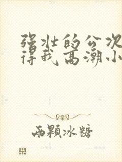 强壮的公次次弄得我高潮小说封面