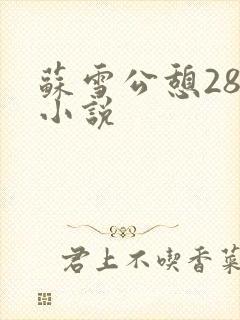 苏雪公憩28篇小说