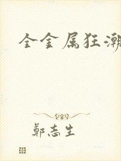 全金属狂潮小说