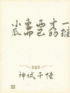 小东西才一根黄瓜而已的推荐书封面