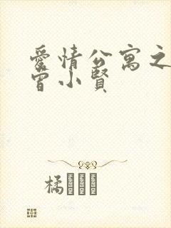 爱情公寓之极品曾小贤