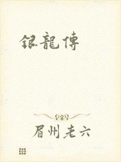 银龙传封面