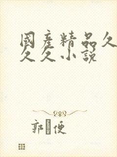 国产精品久久久久久小说