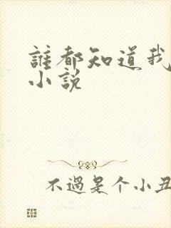 谁都知道我爱你小说