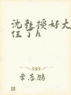 沈教授好大含不住了h