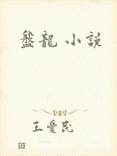 盘龙 小说封面