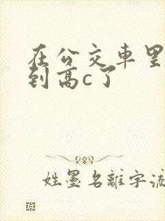 在公交车里c弄到高c了