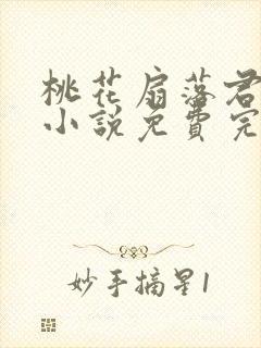 桃花扇落君不还小说免费完整版封面