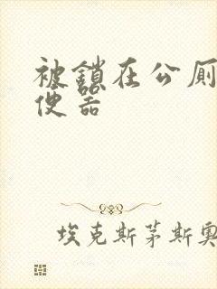 被锁在公厕当坐便器