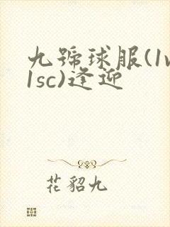 九号球服(1v1sc)逢迎