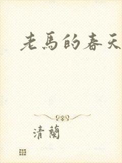 老马的春天封面