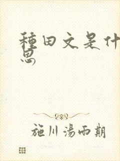 种田文是什么意思
