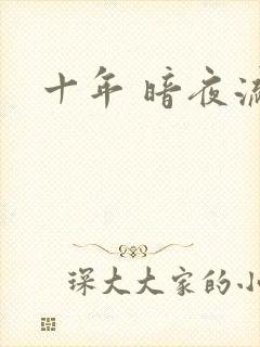 十年 暗夜流光封面