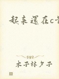 起来还在c骨科封面