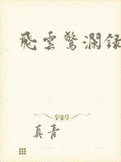 飞云惊澜录