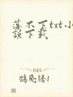 落不下txt小说下载封面