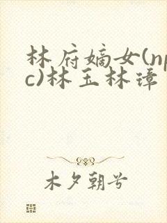 林府嫡女(npc)林玉林璋