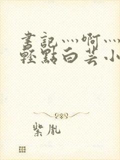 书记灬啊灬啊灬轻点白芸小说