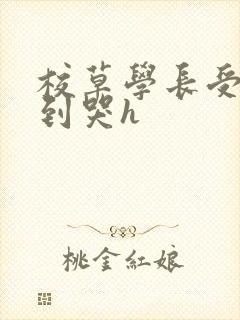 校草学长受被做到哭h