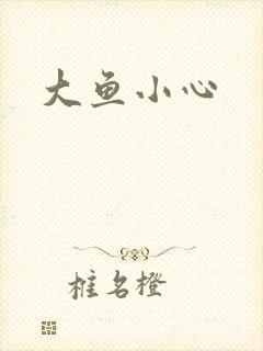 大鱼小心封面