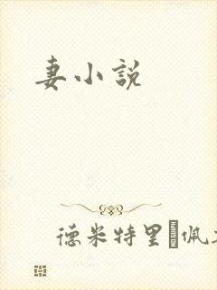 妻小说