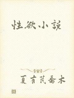 性欲小说