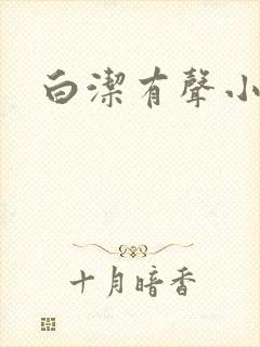 白洁有声小说封面