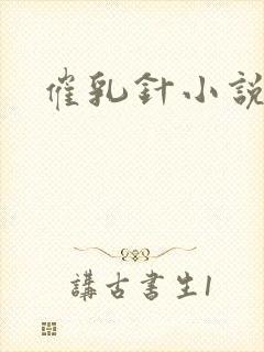 催乳针小说封面