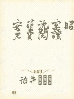 安萌沈宴昭小说免费阅读封面