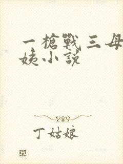 一枪战三母2雪姨小说封面