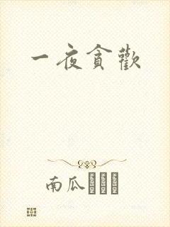 一夜贪欢封面