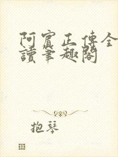 阿宾正传全文阅读笔趣阁