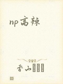np高辣