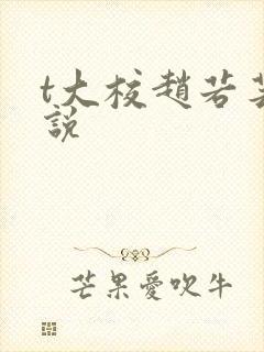 t大校赵若芸小说封面
