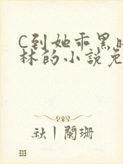 C到她乖黑暗森林的小说免费
