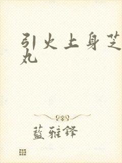 引火上身芝麻糖丸