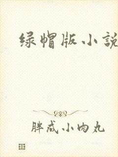 绿帽版小说