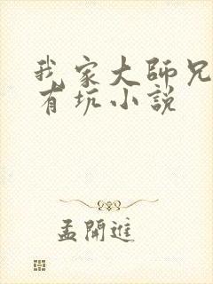 我家大师兄脑子有坑小说