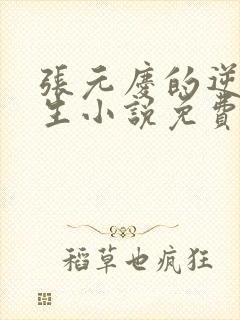 张元庆的逆袭人生小说免费阅读封面