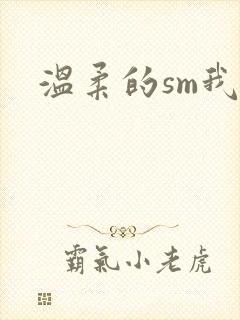 温柔的sm我