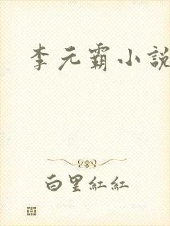 李元霸小说