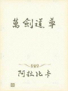 万剑道尊封面