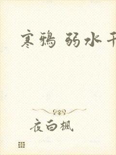 寒鸦 弱水千流