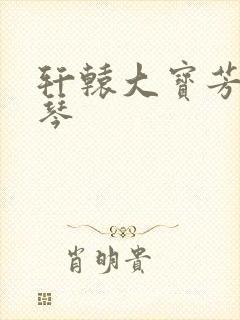 轩辕大宝芳菲雅琴封面