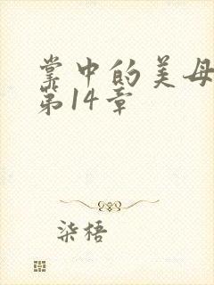 掌中的美母版主第14章