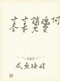 寸寸销魂何生祥全本免费