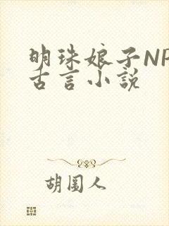 明珠娘子NPC古言小说