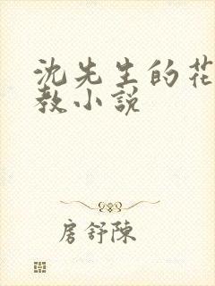 沈先生的花式管教小说