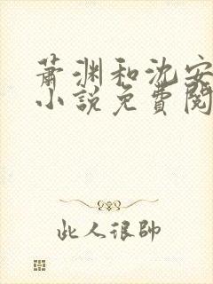 萧渊和沈安安的小说免费阅读