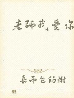 老师我爱你封面